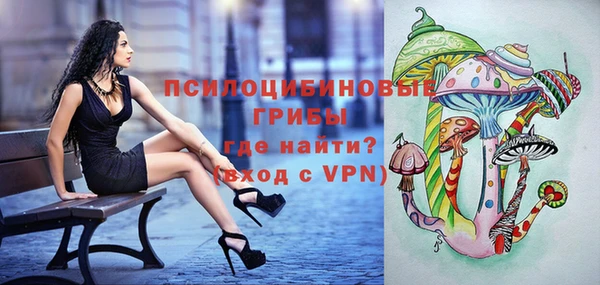 мескалин Надым