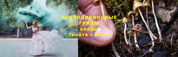 мескалин Надым